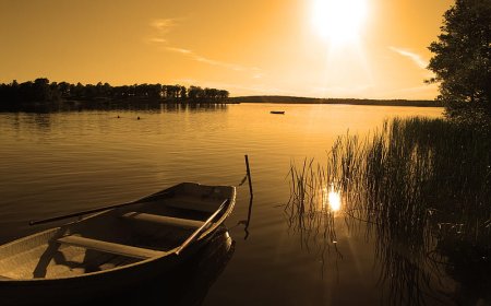 Lake View